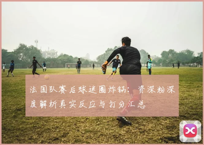 法国队赛后球迷圈炸锅:资深粉深度解析真实反应与打分汇总