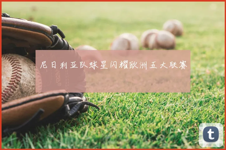 尼日利亚队球星闪耀欧洲五大联赛